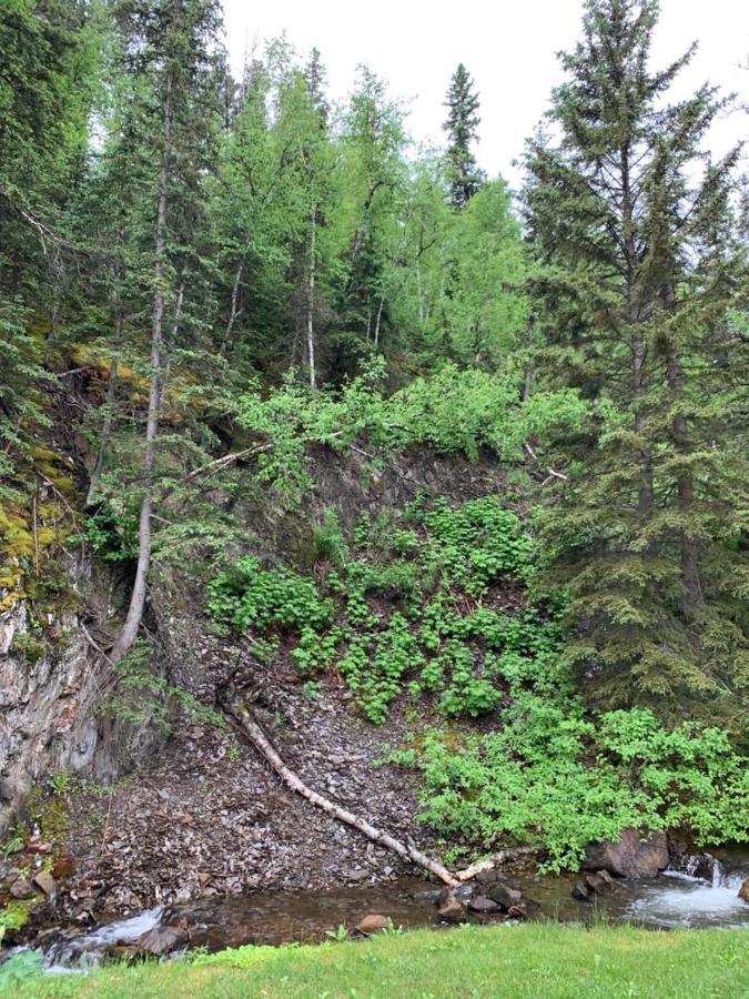 Whitetail Creek Camping Resort Lead Екстериор снимка